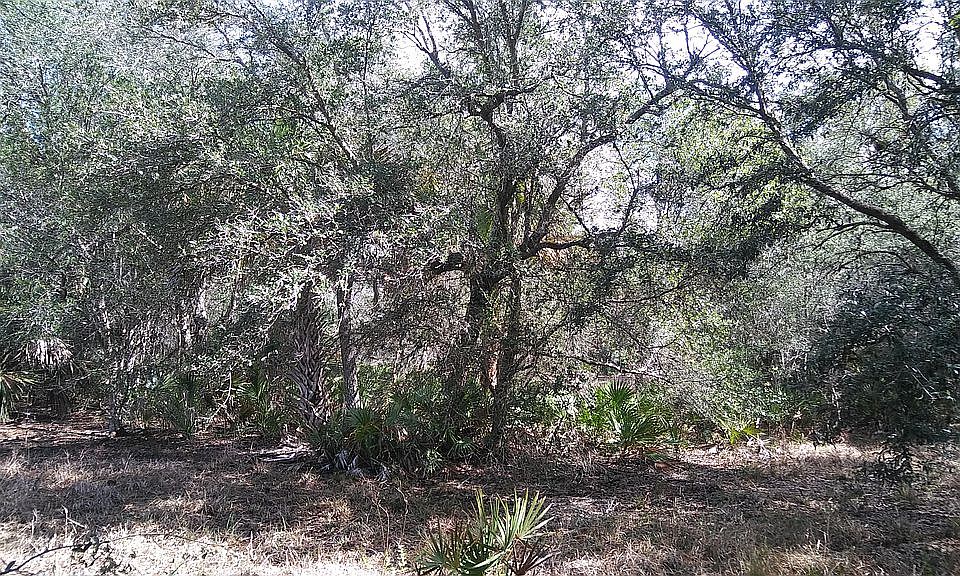 2nd image of 21771 NW 252nd St