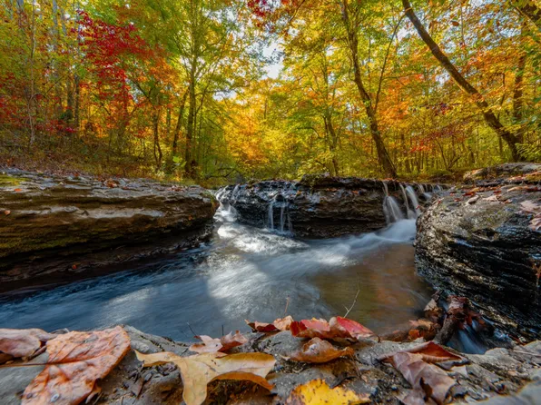 1608 Sweetwater Rd, Waynesboro, TN 38485