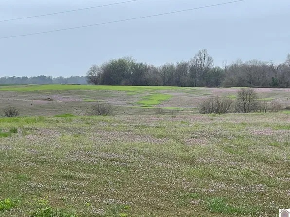 0 Meridian Rd, Hickory, KY 42051