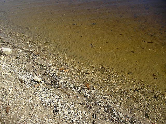 2nd image of N8010 Island View Ln
