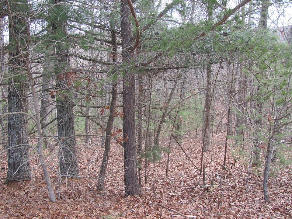 2nd image of 24 Ivydale Ln