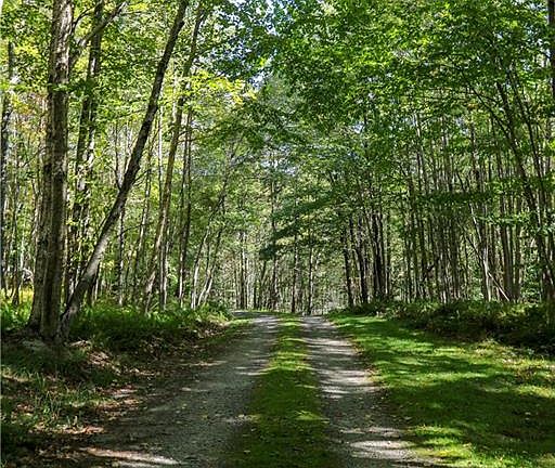 2nd image of 42 Mary Smith Hill Rd