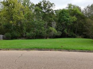 Parker Dr, Clinton, MS 39056