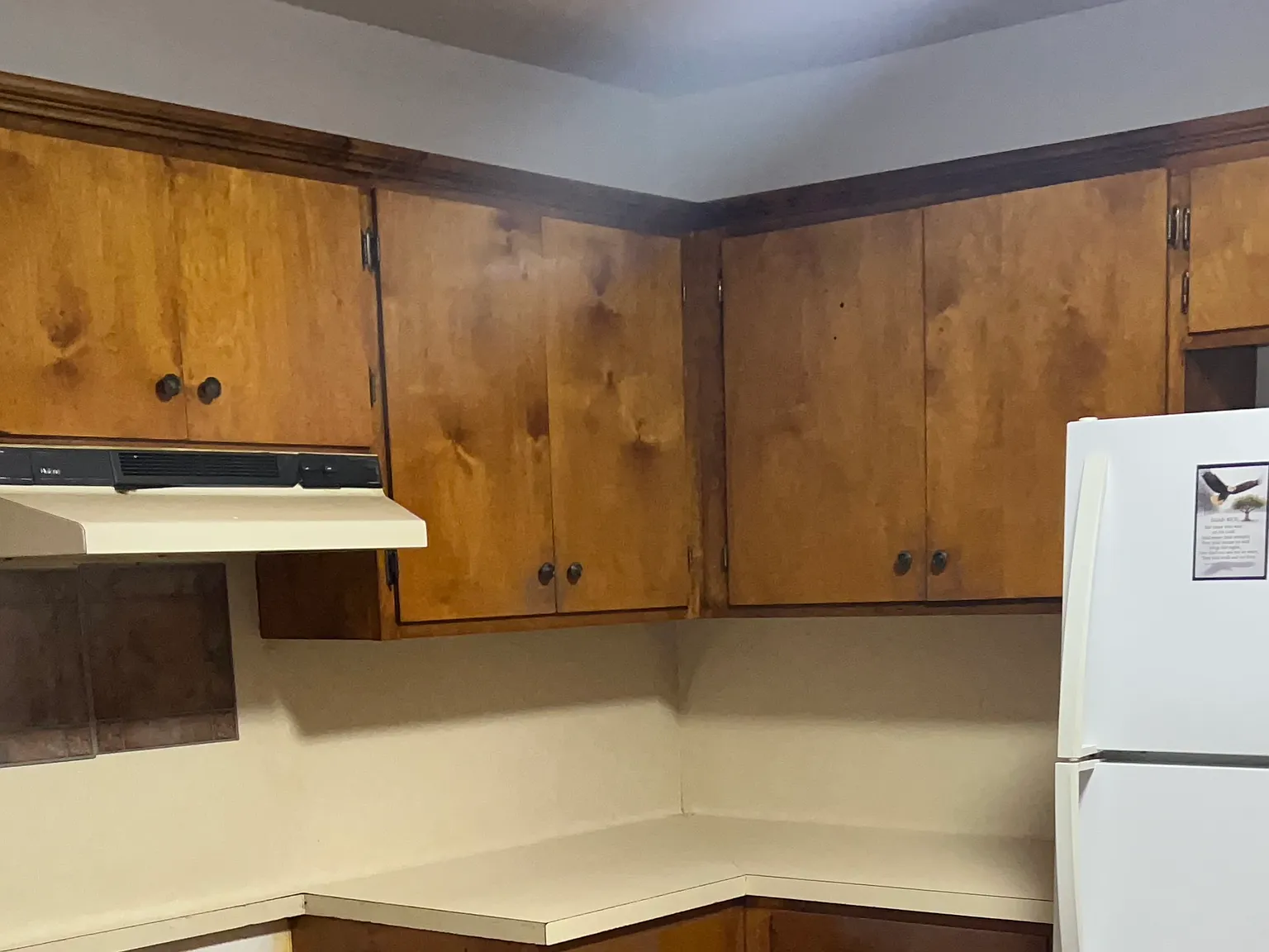 3 bed, 1000 sqft, $1,500 — Photo 2