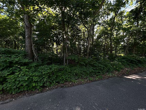 4th image of McKinley Dr