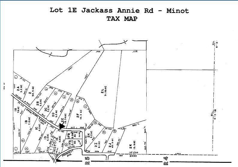 2nd image of 0 Lot 1E Jackass Annie Road