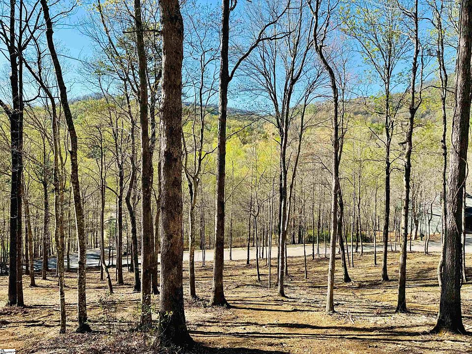 2nd image of 101 Crystal Brook Trl
