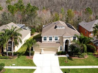 26514 Shoregrass Dr, Wesley Chapel, FL 33544