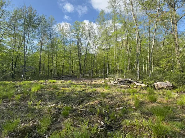 Butternut Rd, Jim Thorpe, PA 18229