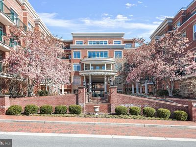 66 Franklin St UNIT 302, Annapolis, MD, 21401