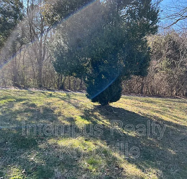 1104 E Hendron Chapel Rd — Photo 31