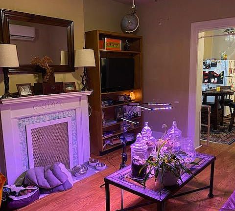 Living Room opens into the kitchen/dining area.