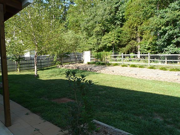Fenced back yard 