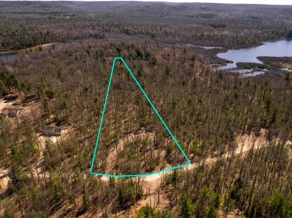 0 Hall Creek Rd, Interlochen, MI 49643