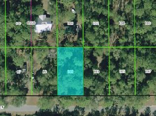 2869 W Grapevine Ct, Dunnellon, FL 34433
