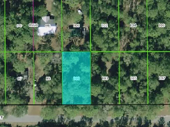 2869 W Grapevine Ct, Dunnellon, FL 34433