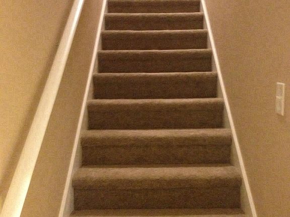 Carpeted Stairs to Bedrooms