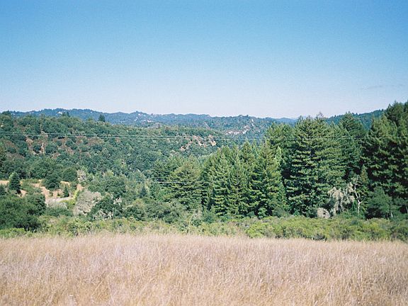 4th image of 1 Hopkins Gulch