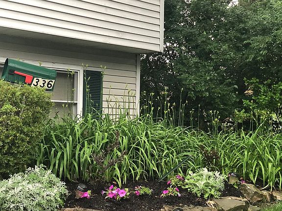 3rd image of 336 Washington Ave