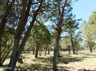 4935 Starlight Dr #152, Happy Jack, AZ 86024