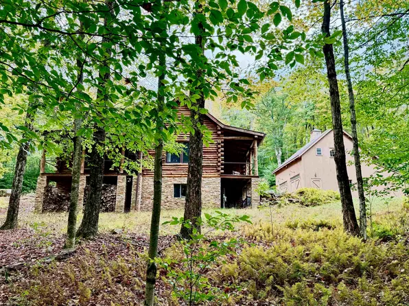 920 Sand Run Rd, Davis, WV 26260