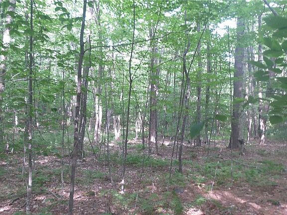 2nd image of 0 Hanson Ridge Road