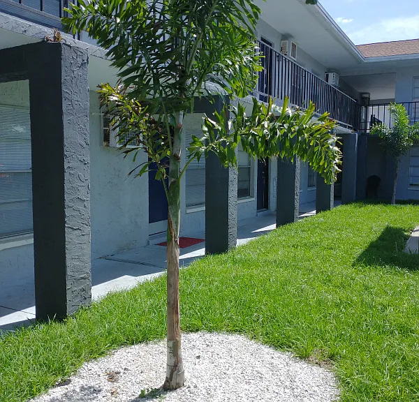 Roma on Dale Mabry II — Photo 5