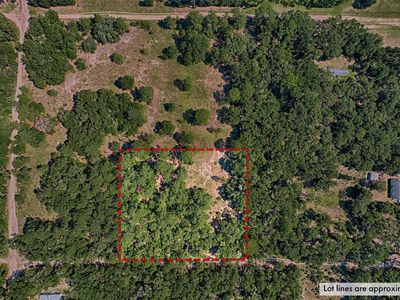 NE 81st St, Bronson, FL, 32621