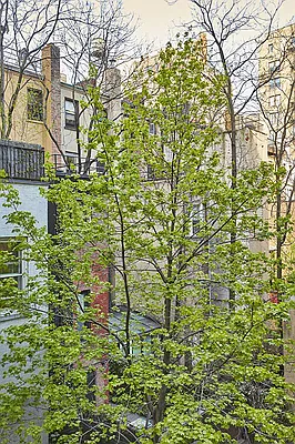 Rented by Brown Harris Stevens | media 14