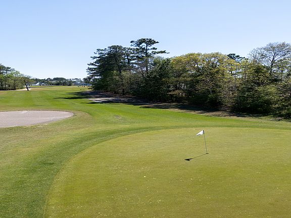 Great View from Backyard