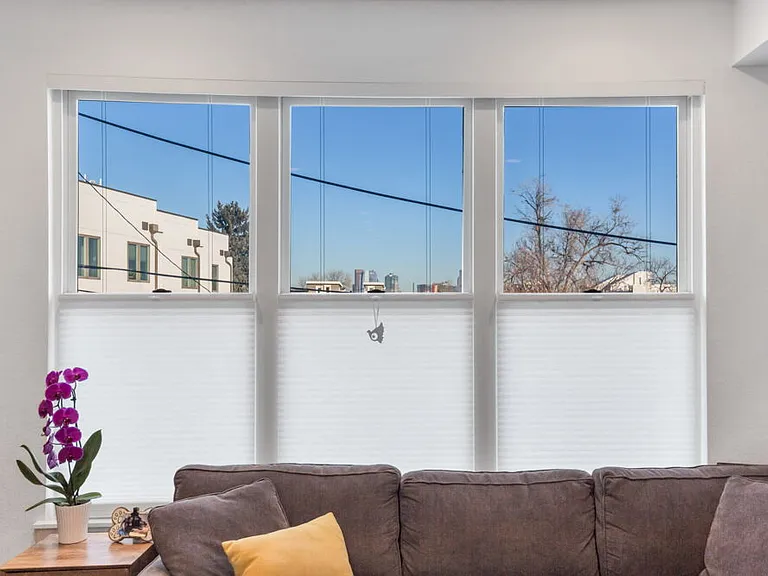 City views from family room