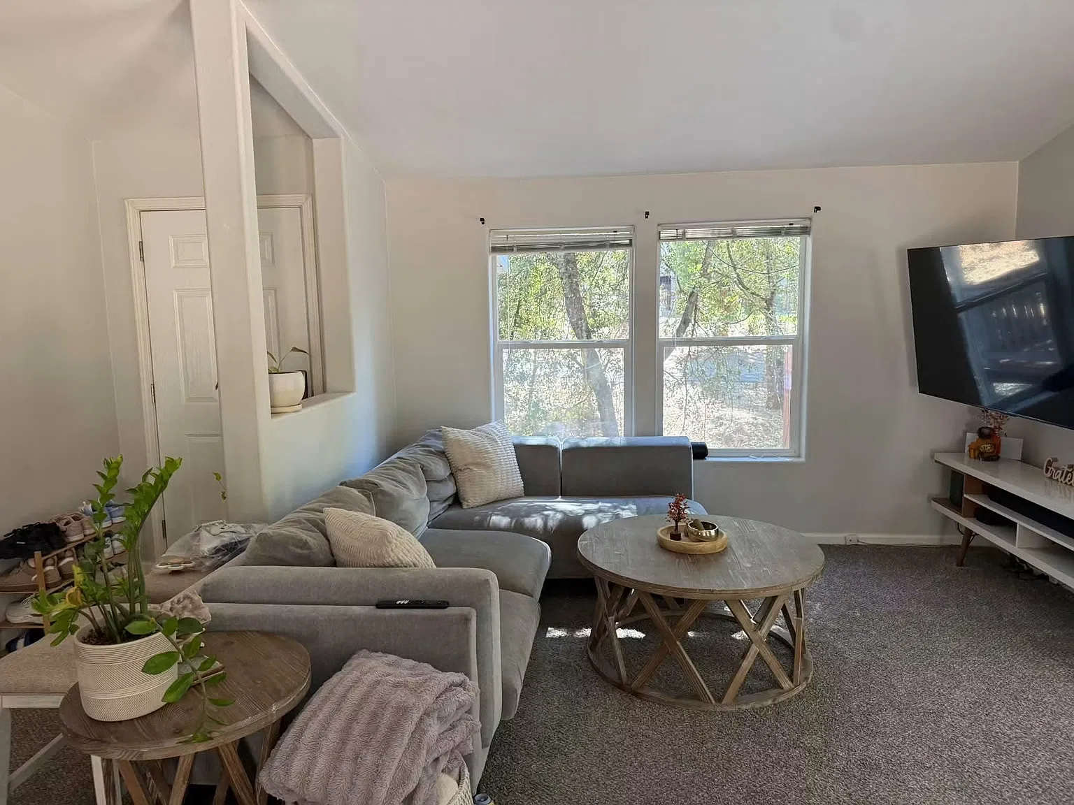 4729 Scotch Pine Ln — Photo 2
