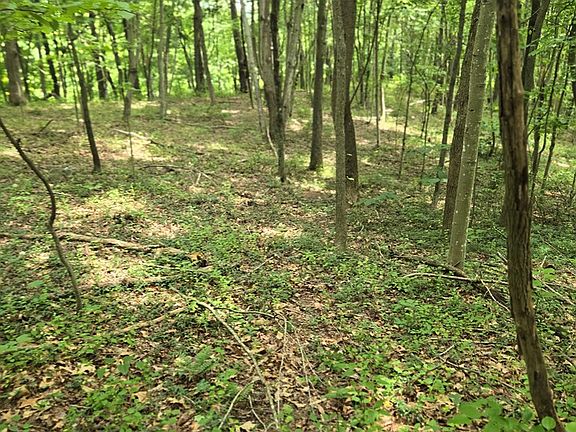 3rd image of 0 Dutch Ridge Rd