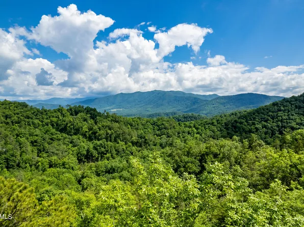 452 & 454 Mount John Loop Rd, Townsend, TN 37882