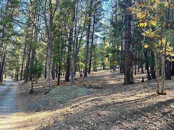 2nd image of 0 Graveyard Gulch Rd