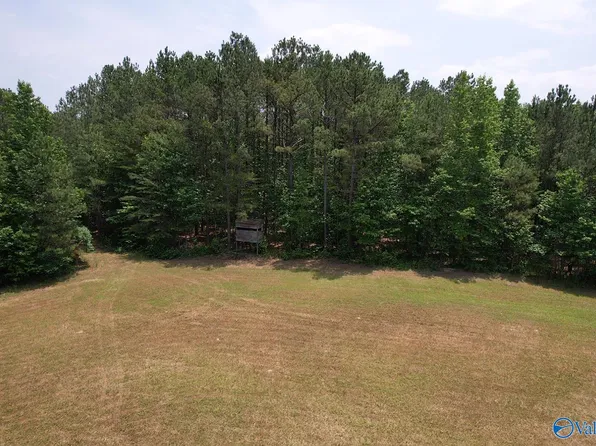 4 County Road 79, Danville, AL 35619
