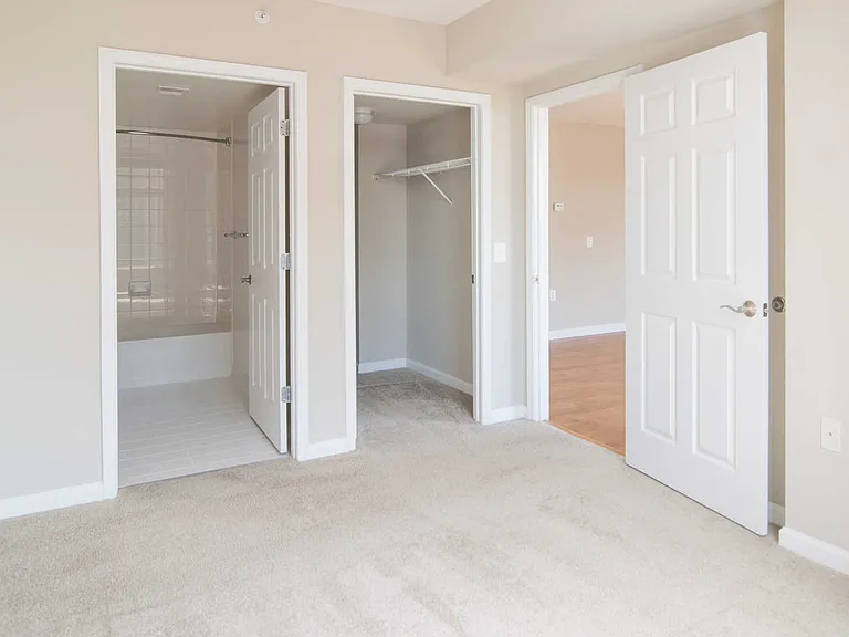 Carpeted Bedroom with Walk-in Closet