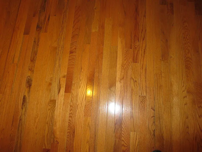 95 Governor St #3 — Photo 6