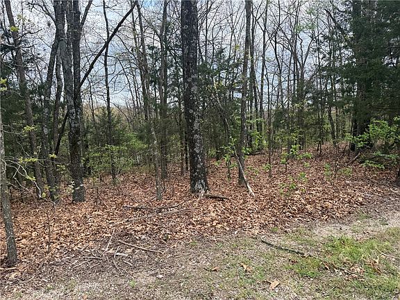 3rd image of LOT 10 Entry Rd