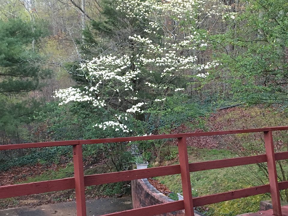 1st image of 914 Mocking Bird Dr