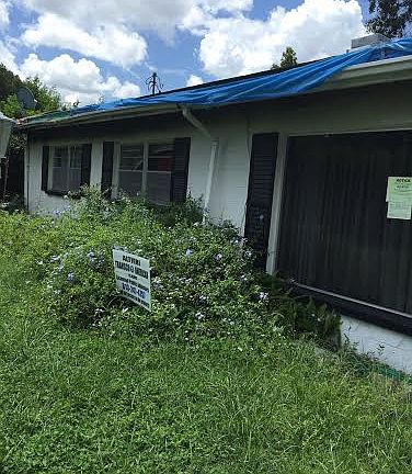 5th image of 4507 Dolphin Dr