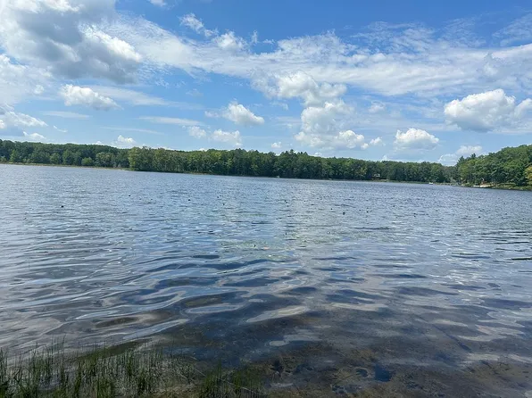 19540 Edgewater Dr, Hillman, MI 49746