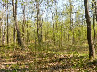 Tolan Rd, Spruce, MI 48762