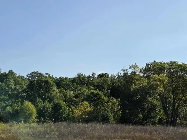 0 Runyan Ln, Hale, MI 48739