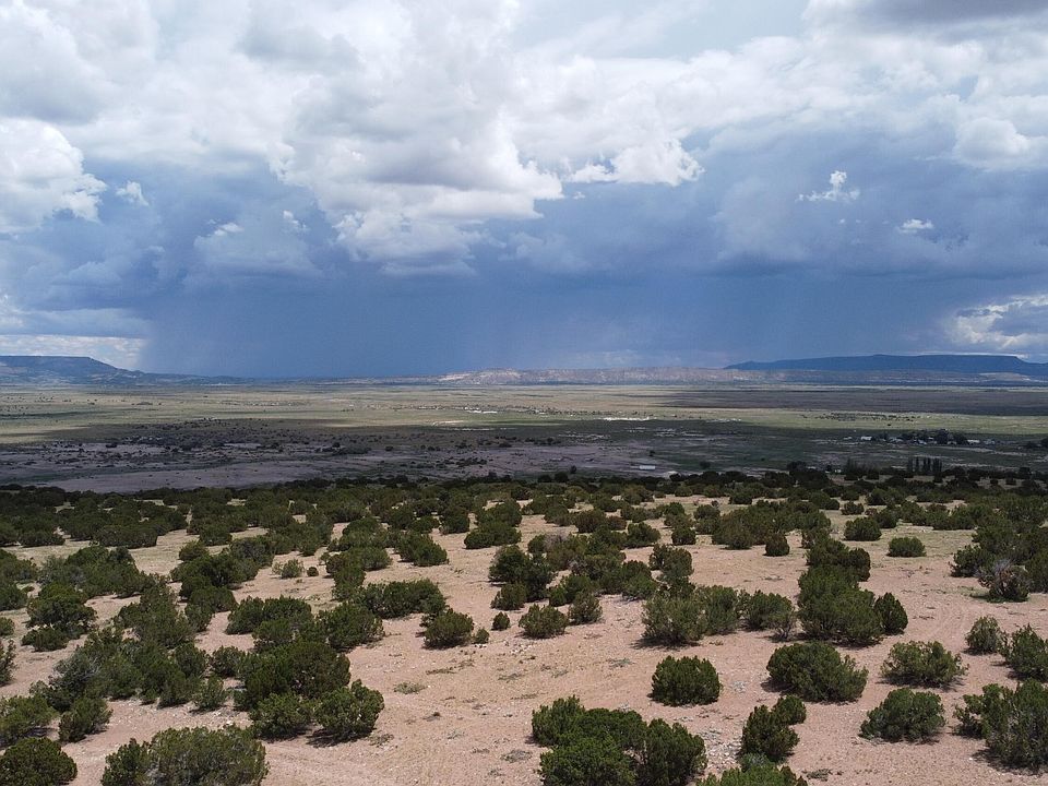 1st image of Camino De Silvestre