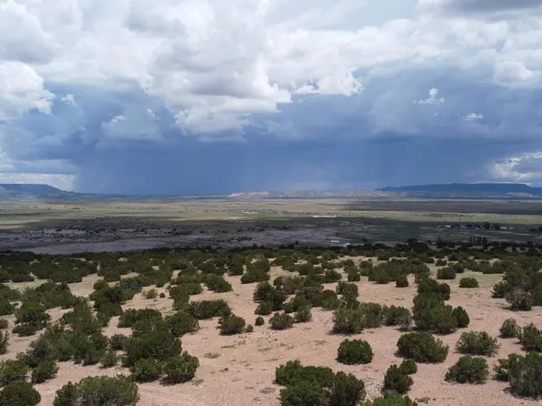 Camino De Silvestre, Grants, NM 87020