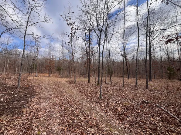 000 County Road 206, Alton, MO 65606