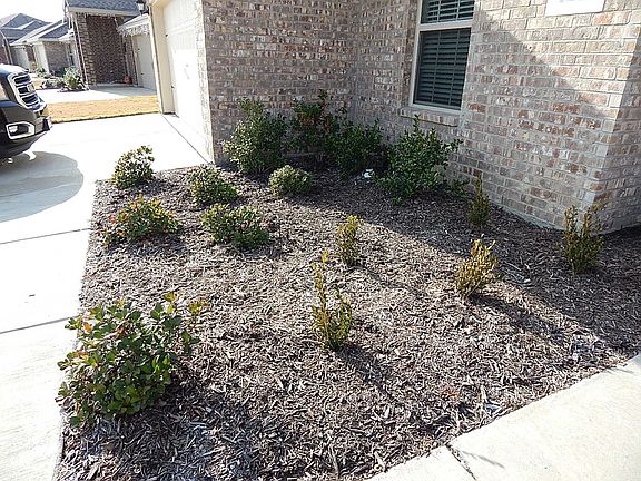 2nd image of 1217 River Oak Ln