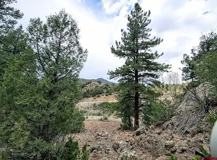 61 Red Tail Court, South Fork, CO 81154