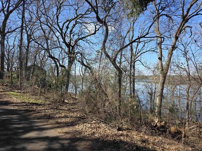 0 County Road 1420, Quitman, TX, 75783